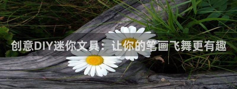 sky娱乐  0 47卧龙：创意DIY迷