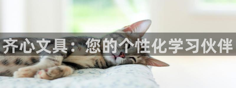 卧龙娱乐彩票兑奖中心：齐心文具：您的个性