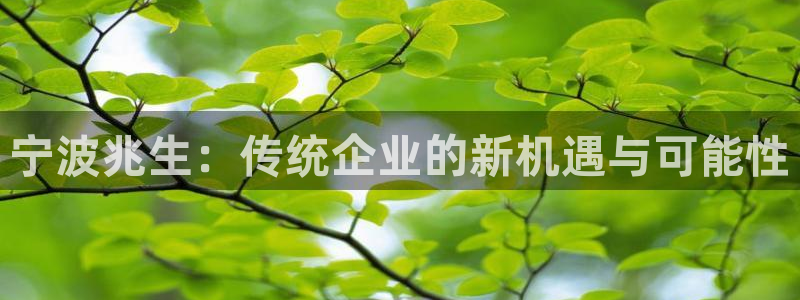 卧龙娱乐属于什么行业：宁波兆生：传统企业