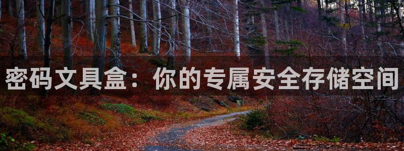 卧龙娱乐注册地址在哪里：密码文具盒：你的