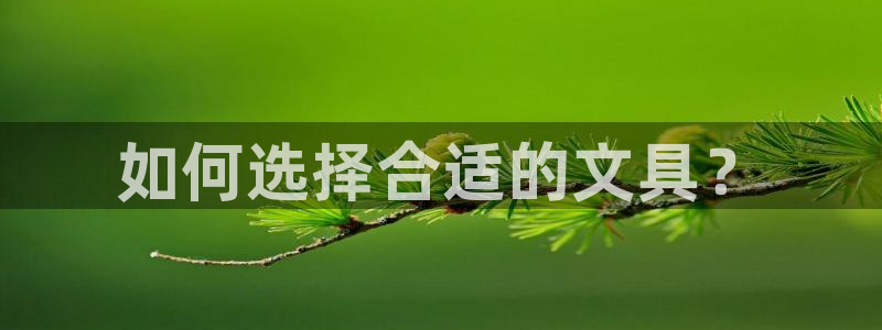 卧龙娱乐月7O667：如何选择合适的文具