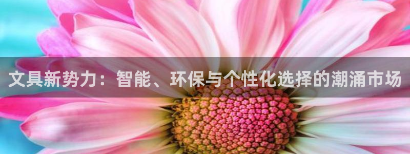 卧龙娱乐总代理是谁呀：文具新势力：智能、