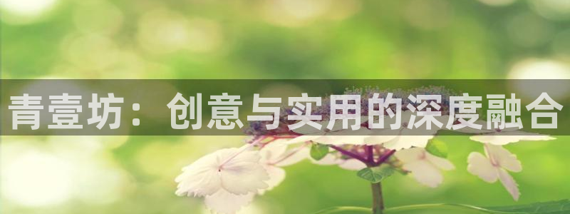 绥阳卧龙湖娱乐场地：青壹坊：创意与实用的