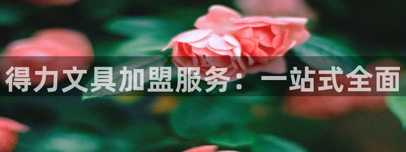 卧龙区休闲娱乐推荐：得力文具加盟服务：一