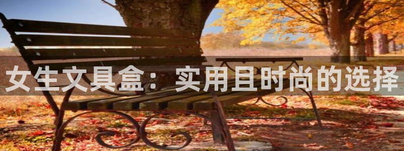 卧龙娱乐拆卡攻略：女生文具盒：实用且时尚