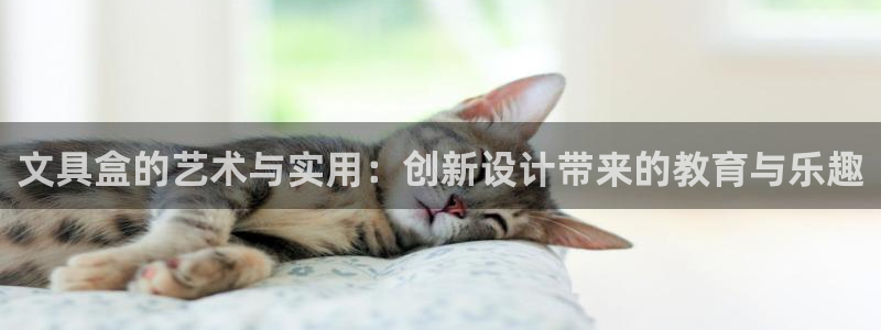 卧龙沟娱乐场：文具盒的艺术与实用：创新设