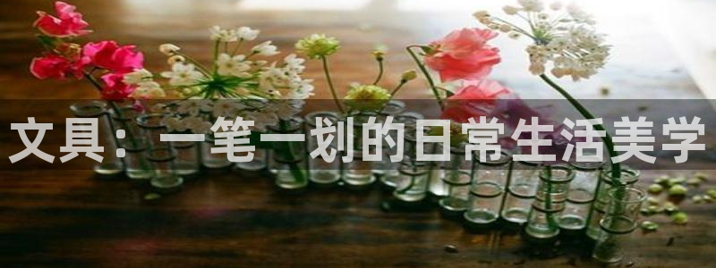 卧龙娱乐有限公司：文具：一笔一划的日常生