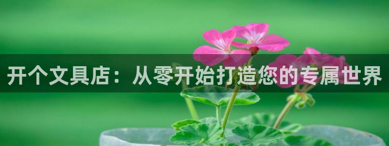 卧龙新款娱乐设备：开个文具店：从零开始打