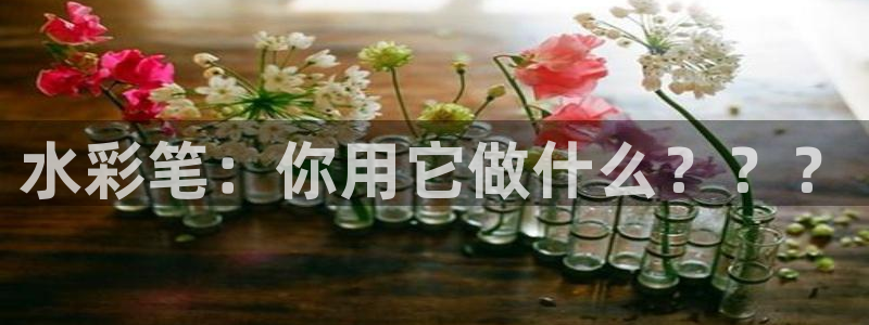 卧龙娱乐平台下载：水彩笔：你用它做什么？