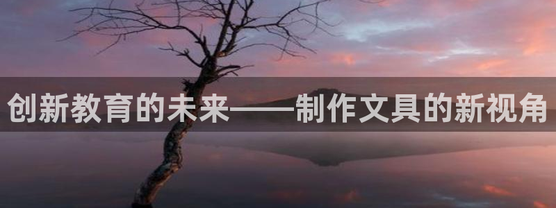 卧龙港休闲娱乐会所：创新教育的未来——制