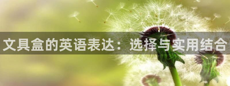 卧龙娱乐app彩票计划：文具盒的英语表达