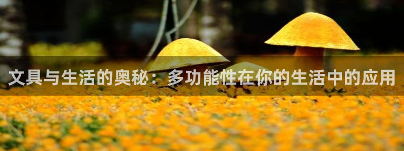 卧龙凤雏娱乐运城：文具与生活的奥秘：多功