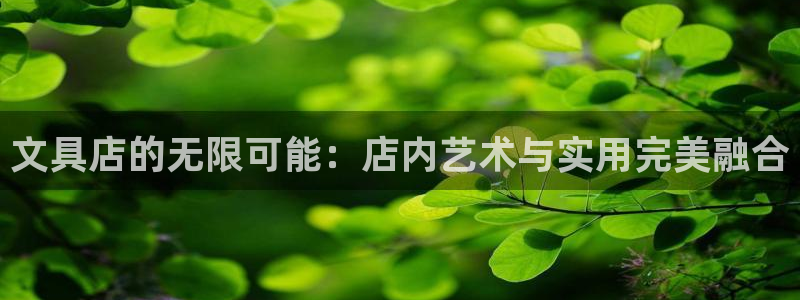 本溪卧龙休闲娱乐：文具店的无限可能：店内