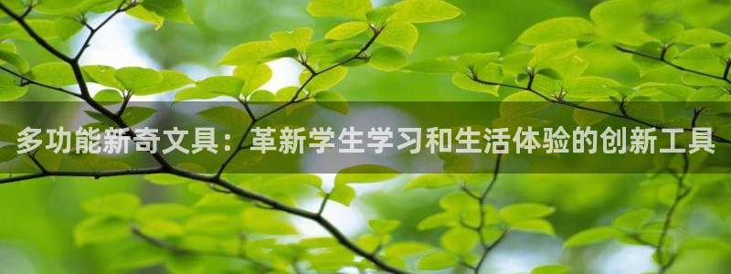卧龙公园的娱乐项目：多功能新奇文具：革新
