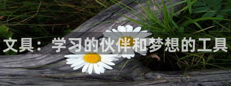 南阳卧龙岗景区娱乐项目：文具：学习的伙伴