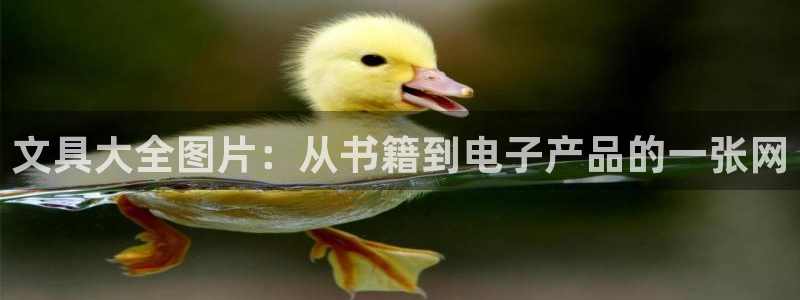 SKY娱乐卧龙主管60447：文具大全图