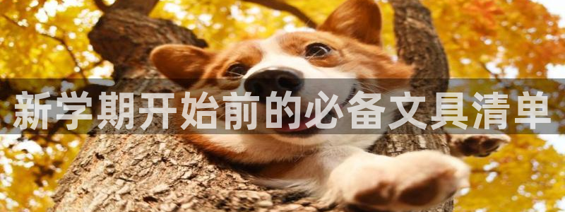 南阳卧龙水之梦娱乐会所：新学期开始前的必