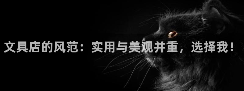 卧龙台球娱乐会所电话：文具店的风范：实用