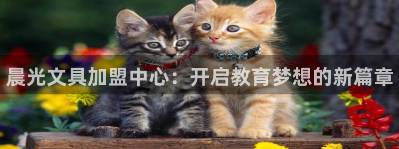 卧龙娱乐设备地址：晨光文具加盟中心：开启