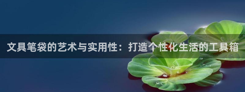 娱乐卧龙：文具笔袋的艺术与实用性：打造个