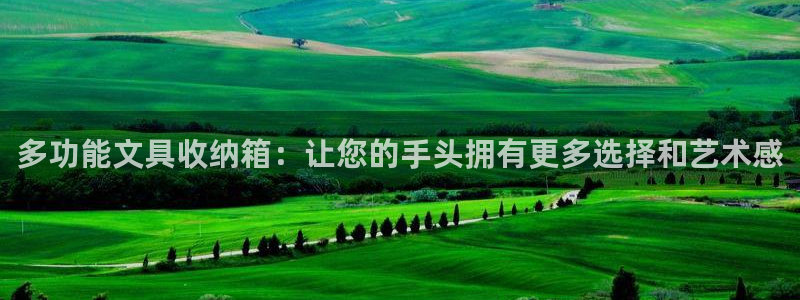 卧龙居餐饮娱乐：多功能文具收纳箱：让您的