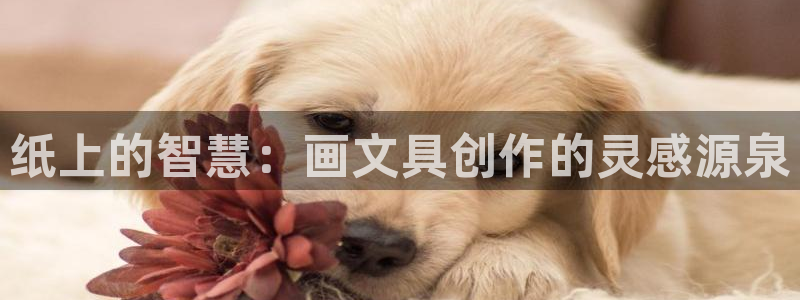 卧龙区休闲娱乐推荐：纸上的智慧：画文具创