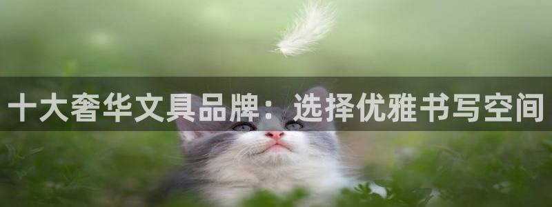 卧龙凤雏直播娱乐：十大奢华文具品牌：选择