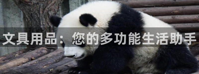 广丰卧龙城娱乐：文具用品：您的多功能生活