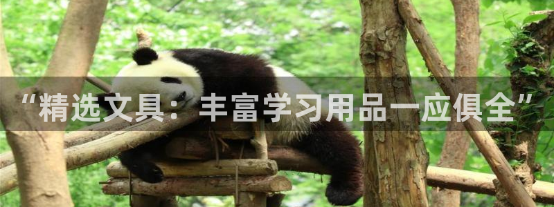 hr娱乐 卧龙招商60447：“精选文具