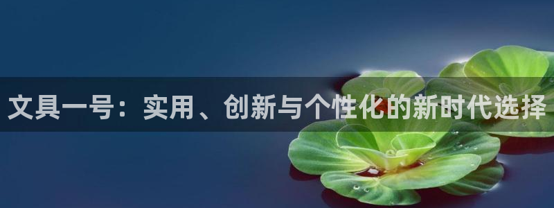 卧龙娱乐注册网址多少：文具一号：实用、创