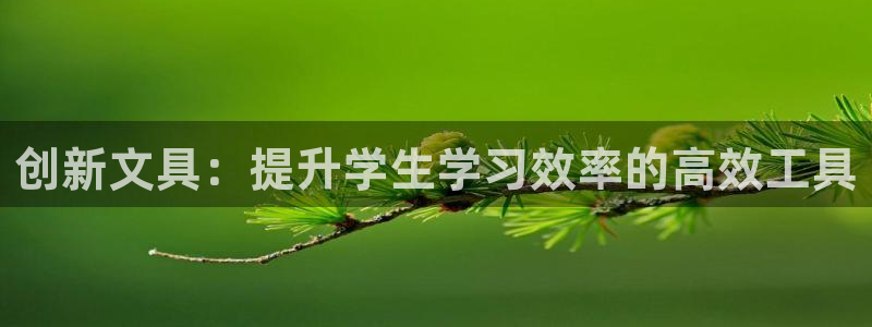 卧龙名都娱乐会所：创新文具：提升学生学习