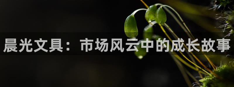 卧龙娱乐登录地址：晨光文具：市场风云中的