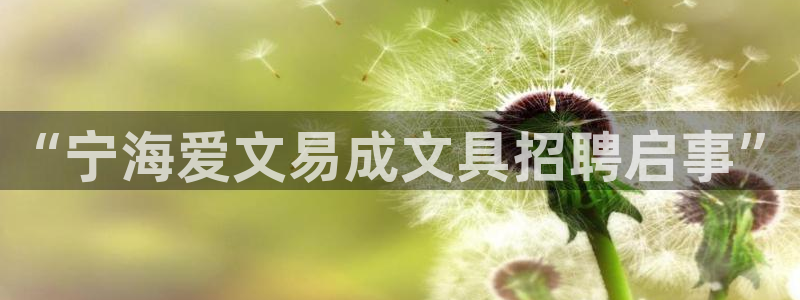 卧龙娱乐在线下载游戏：“宁海爱文易成文具