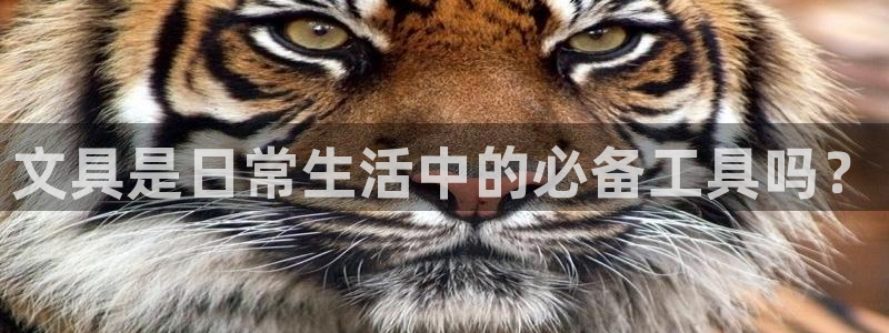 卧龙区微微娱乐商城：文具是日常生活中的必