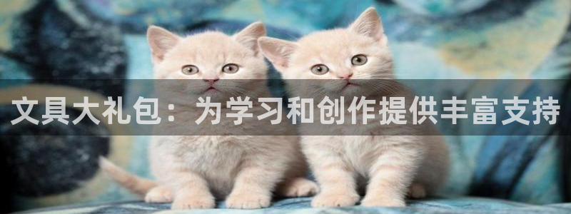 卧龙娱乐集团投注：文具大礼包：为学习和创