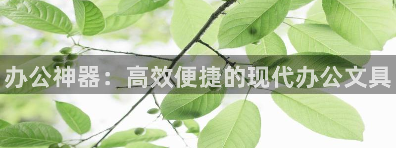 卧龙娱乐账号登录设置：办公神器：高效便捷