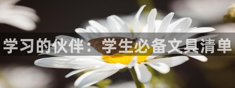 卧龙娱乐号：学习的伙伴：学生必备文具清单
