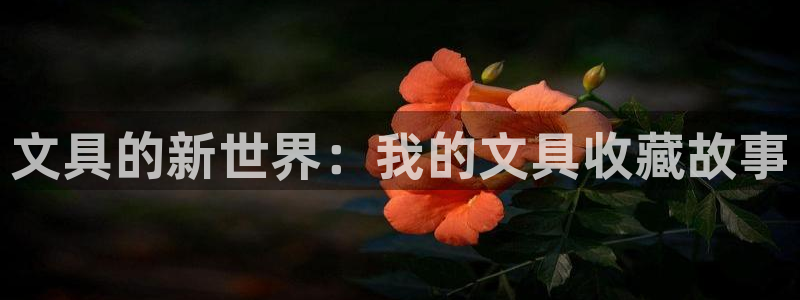 卧龙娱乐山西：文具的新世界：我的文具收藏