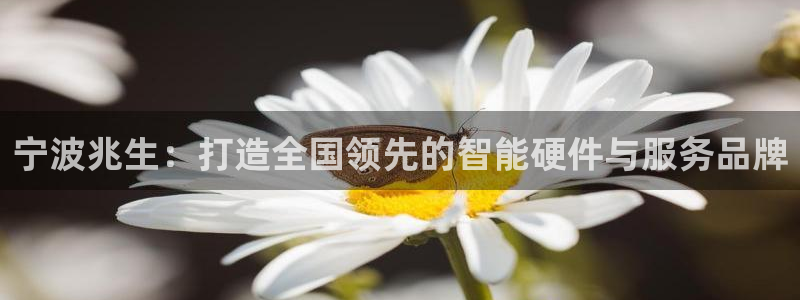 卧龙娱乐老板是谁呀视频：宁波兆生：打造全