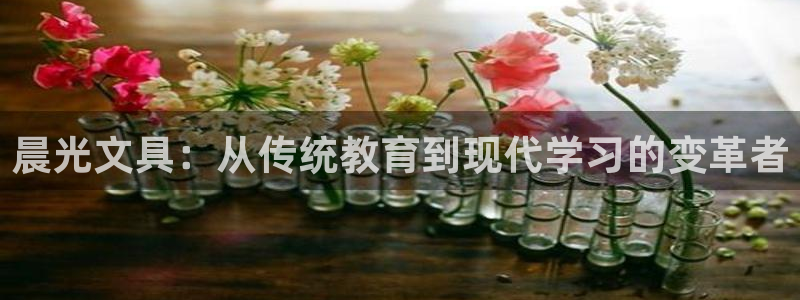 卧龙娱乐号：晨光文具：从传统教育到现代学