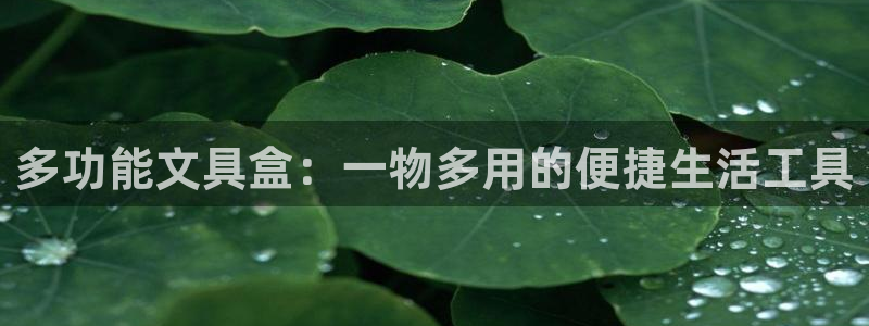 卧龙沙滩娱乐：多功能文具盒：一物多用的便