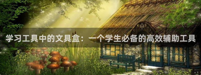 卧龙娱乐挂机平台有哪些：学习工具中的文具