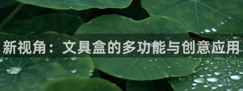 卧龙娱乐下7O667：新视角：文具盒的多