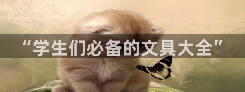 E彩娱乐 卧龙主管60447：“学生们必