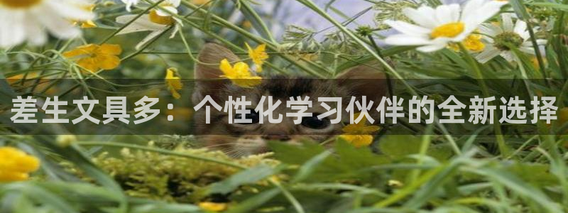 卧龙娱乐不出款了吗：差生文具多：个性化学