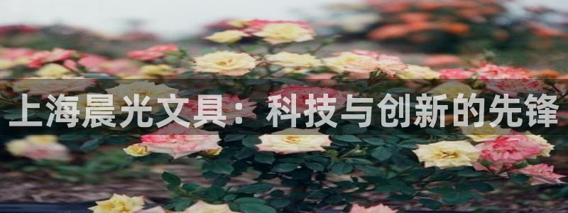 卧龙娱乐账号登录设置：上海晨光文具：科技