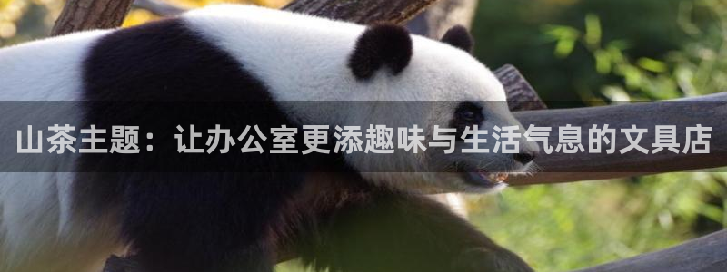 卧龙娱乐怎样注册公司：山茶主题：让办公室